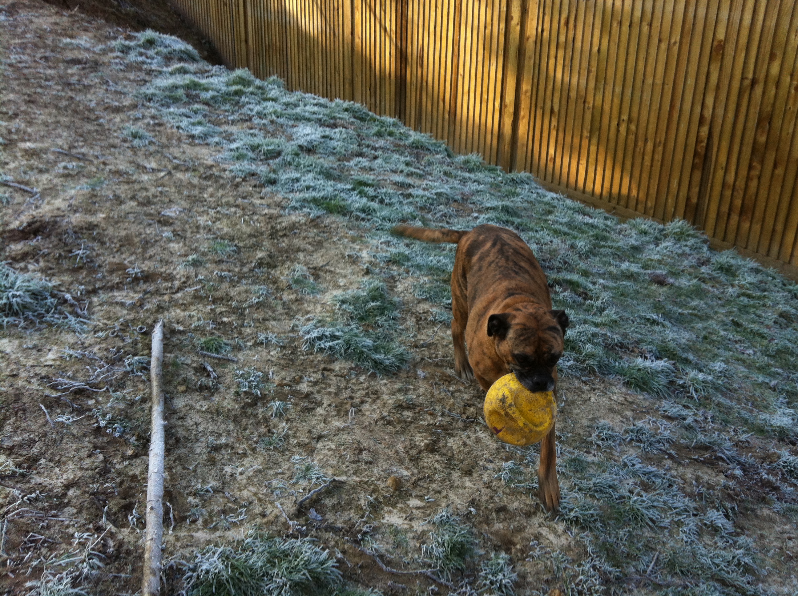 Gallery Lodge Gate Kennels